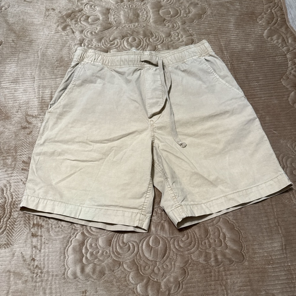American Eagle Outfitters Tan Flat Front Shorts Lightweight Casual